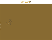 Tablet Screenshot of conamor.org